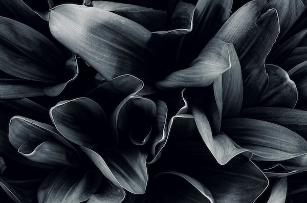 Read more about the article 希伯来书（8）